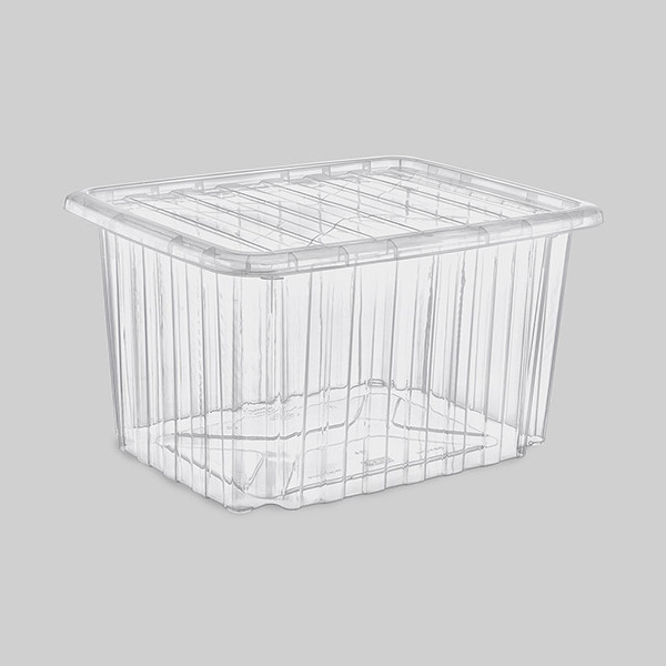 Donecto Box with Lid (Transparent)